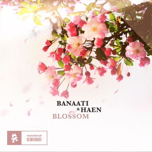 Banaati & Haen - Blossom [MCEP265]